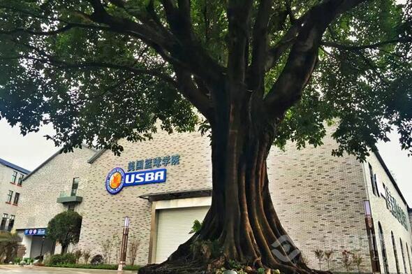 如何通过反馈分析提升篮球战术意识_1